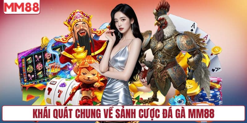 Khái quát chung về sảnh cược đá gà MM88