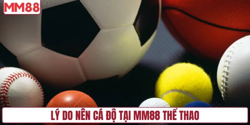 Lý do nên cá độ tại MM88 thể thao